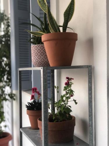 a metal shelf with potted plants on it at Sideroporta castle Náfpaktos in Nafpaktos