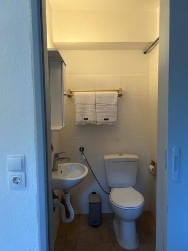 a bathroom with a toilet and a sink at Hera's Hideaway in Samos