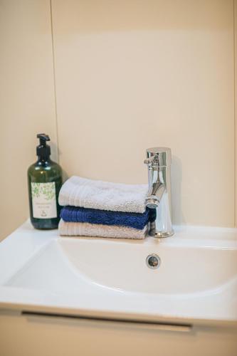 - un lavabo avec une serviette et une bouteille de savon dans l'établissement 