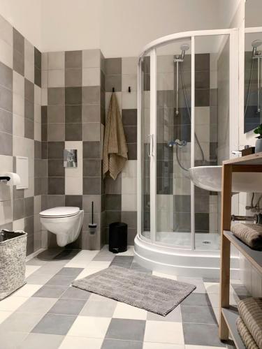 a bathroom with a shower and a toilet at Residential Barona Apartments in Riga Centre in Rīga