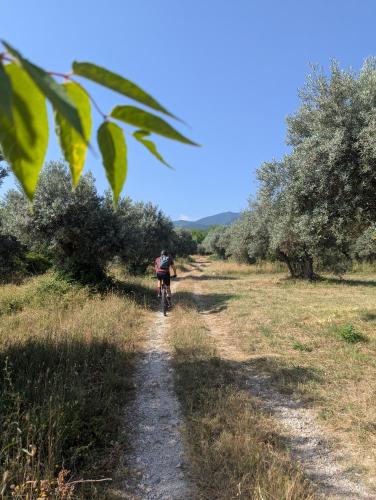 a person riding a bike down a dirt road at Casa Avella Mountain Retreat in Pennapiedimonte