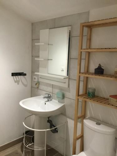 a bathroom with a sink and a toilet at Le 7ter, maison calme piscine partagée in Saint-Laurent-sur-Sèvre