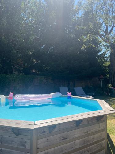 une piscine dans une arrière-cour avec dans l'établissement Villa AROHA, à Guebwiller