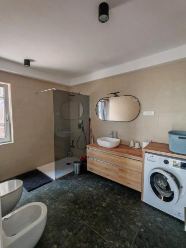 a bathroom with a washing machine and a washer at Apartment La Lita in Šmarje