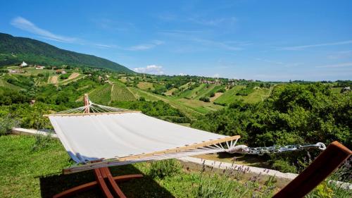 a hammock sitting on top of a grassy hill at Villa Terra in Plešivica