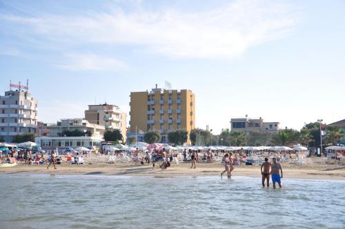 Plage de l'hôtel ou située à proximité