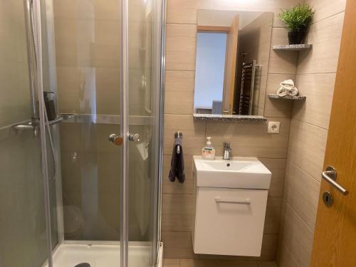 a bathroom with a shower and a sink at Kirkjufell Guesthouse and Apartments in Grundarfjordur