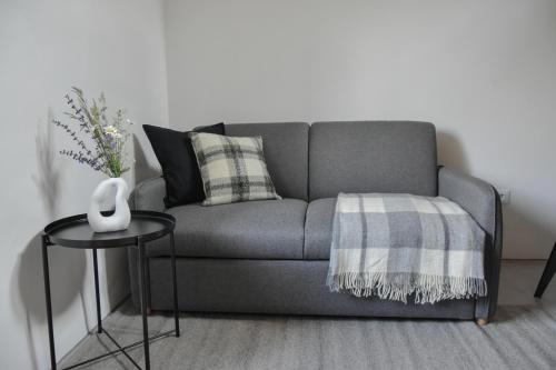 a living room with a gray couch and a table at Viktor Estate in Deskle