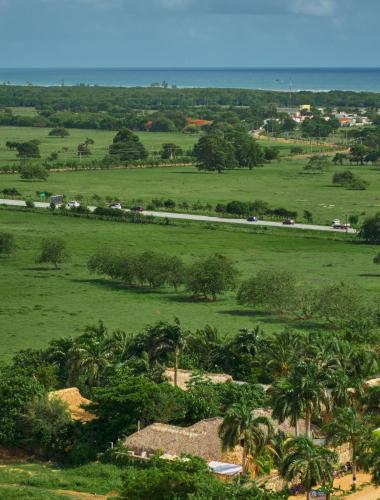 a train traveling through a green field with palm trees at Buena Vida Macao 7 habitaciones in Salado