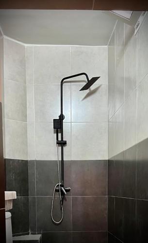 a shower in a bathroom with a bird on the wall at Riad Dar Chaafa 17 in Salé