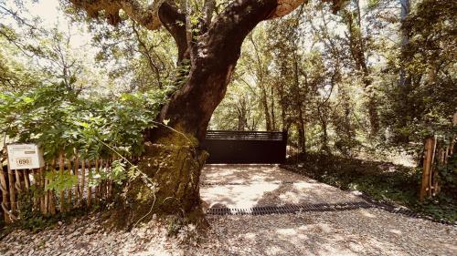 a tree sitting next to a wooden fence at Chalet avec piscine privée dans la forêt in Bagnols-en-Forêt