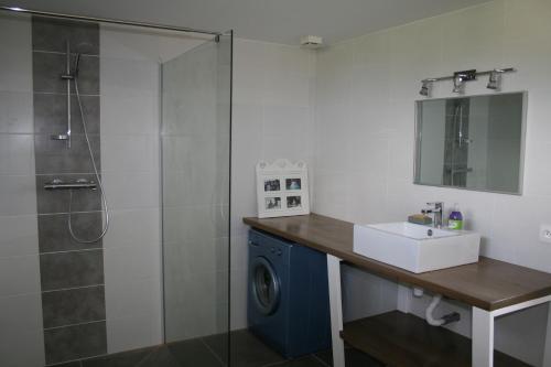 un baño con lavabo y ducha en Gite Vercors-Chambaran, en Saint-Marcellin