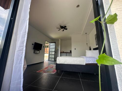 Gallery image of ESPECTACULAR APARTA ESTUDIO CAMPESTRE a 35 MINUTOS DE PEREIRA, VIA PEREIRA - ALCALA in Alcalá