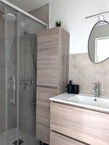 une salle de bain avec un lavabo et une douche dans l'établissement Domaine du Barvy, à Odenas