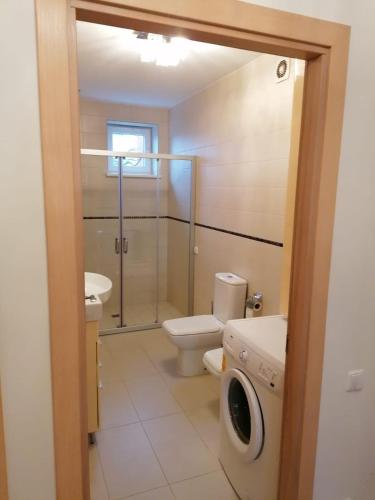 y baño con aseo, lavabo y lavadora. en Vytautas Apartments, en Šiauliai