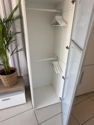 un placard avec un miroir et une plante dans l'établissement Studio cosy avec piscine proche du bord de mer, à Villeneuve-Loubet