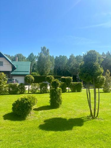 a garden with bushes and a tree in the grass at Brīdis Sev in Ķekava