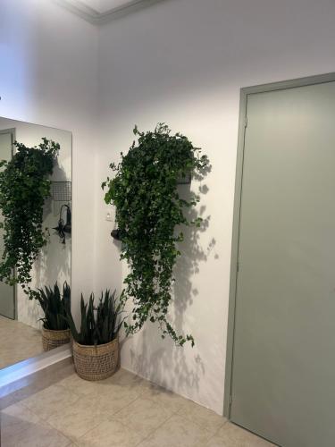 a room with two potted plants on a wall at The mint in Politiká