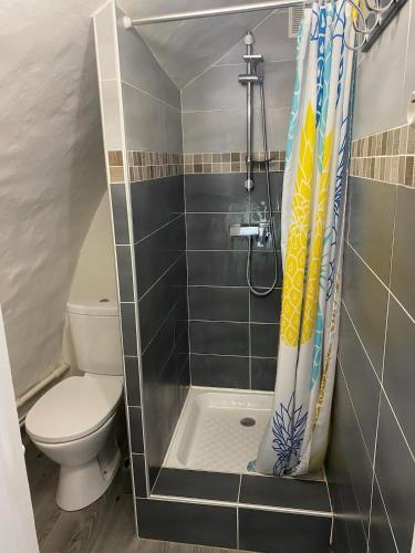 e bagno con doccia, servizi igienici e tenda per la doccia. di Petite maison a Les Bondons