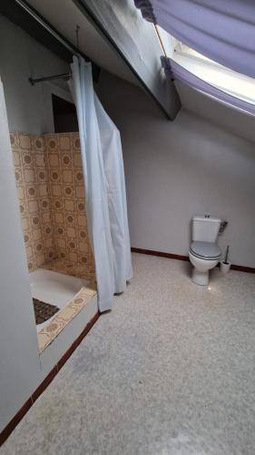 une salle de bain avec toilettes dans une chambre dans l'établissement Appartement à 1km de Sarlat à la campagne, à Sarlat-la-Canéda