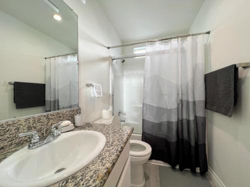 Hollywood Black Habitat photo 12