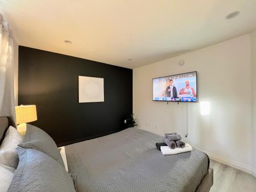 Hollywood Black Habitat photo 23