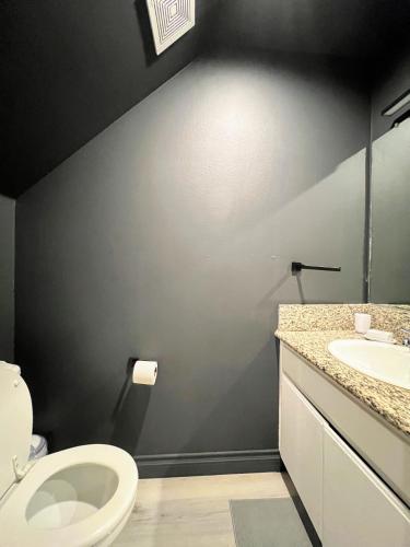 Hollywood Black Habitat photo 22
