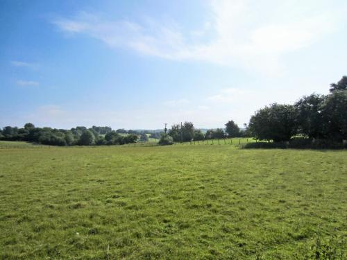 a field of green grass with trees in the background at The Smithy in Crundale