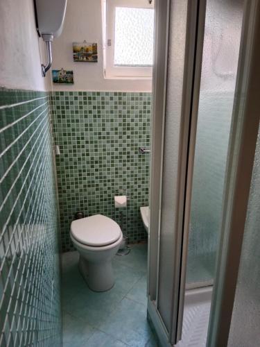 a small bathroom with a toilet and a shower at Casa Nonna Rina GE Liguria in Gattorna