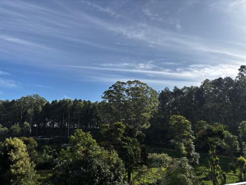 a view of a forest of trees with a blue sky at Tea sprig villa in Boralanda