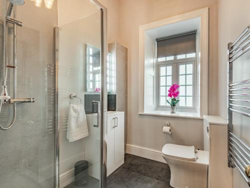 a bathroom with a shower and a toilet and a sink at Groudd Hall in Cerrigydrudion