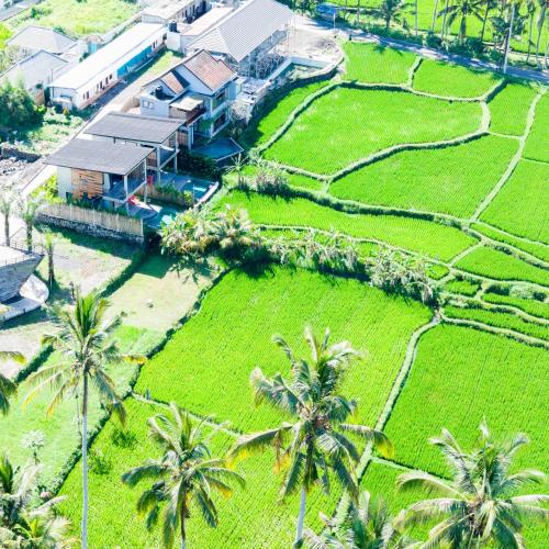 Un jardín fuera de Umah Adenium Ubud