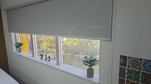 a window with a white blind on a window sill at Nobre Flats 201 in Petrolina