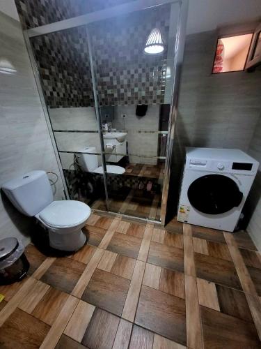 Koupelna v ubytování Casuta noastra