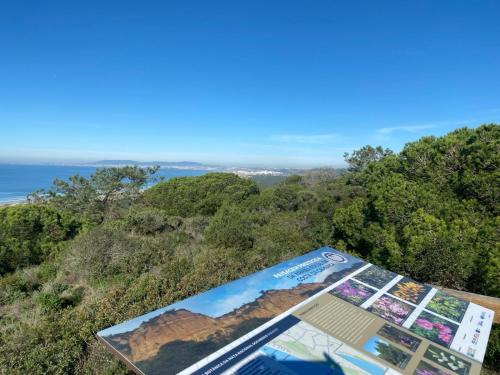 a view of the ocean from the top of a hill at That Place For U - Blue House in Costa da Caparica