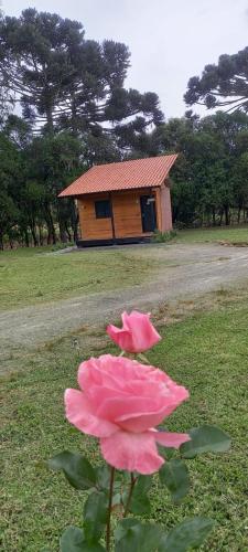 Taman di luar Pousada Morro dos Pinhais