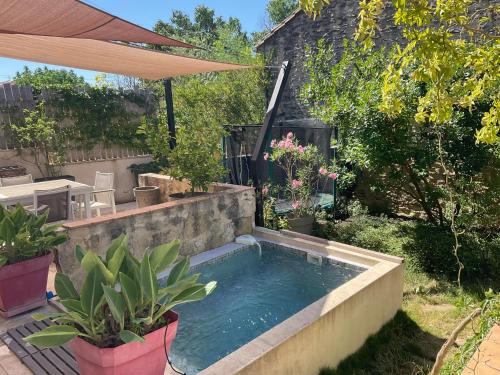 PujautにあるMaison de village de caractèreの鉢植えの庭のスイミングプール