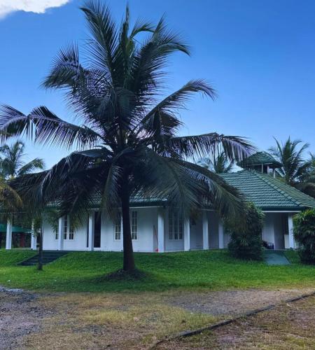 a palm tree in front of a white house at The Shenu Lake House in Dandugama