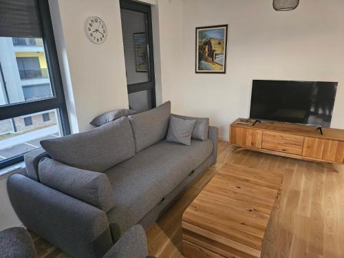 ein Wohnzimmer mit Sofa und Flachbildfernseher in der Unterkunft Dvosoban stan Akacija Trebinje in Trebinje