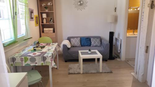 un salon avec un canapé et une table dans l'établissement Petit Tripiers, à Colmar