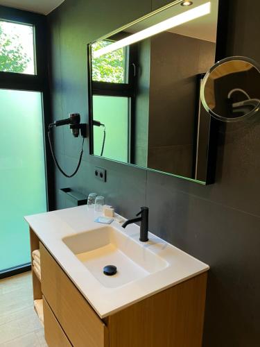 a bathroom with a sink and a mirror at Hostellerie La Claire Fontaine, Logis hôtels & Spa in La Roche-en-Ardenne