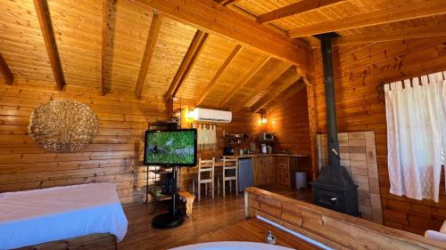 a room with a bed and a television and a stove at פסגת מתת Pisgat mattat in Mattat