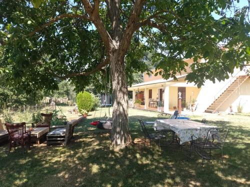 Golden Valley apartment & ranch