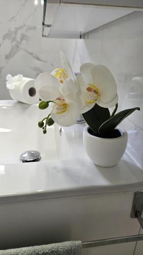 Reel Apartments- Luxury Studio with swimming pool.