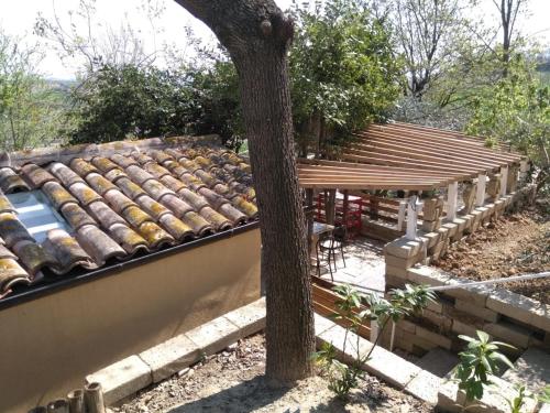 Φωτογραφία από το άλμπουμ του Tania στη Σενιγκάλια