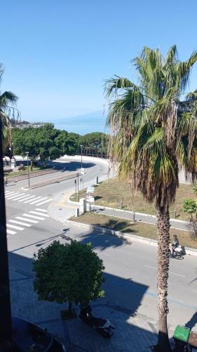 a palm tree on the side of a street at B&B La Pineta in Reggio Calabria