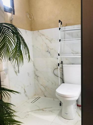 a white bathroom with a toilet and a plant at Dar Tamatert in Tamatert