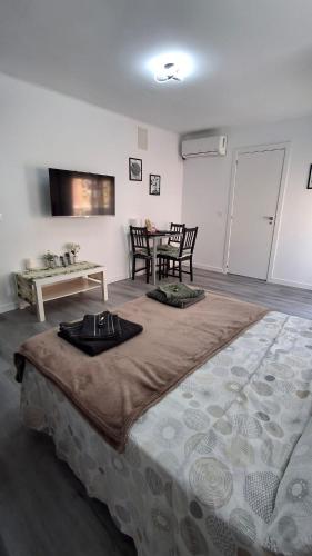 Loft con balcón cercano al centro de Valencia