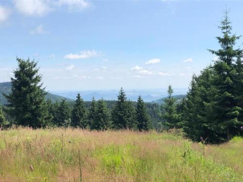 a view of a field with trees in the background at Majestic Stay in Deutschneudorf in Deutschneudorf