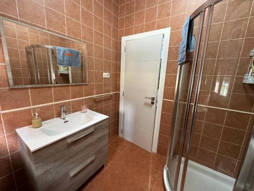 a bathroom with a sink and a shower at Pisos A Barca in Muxia